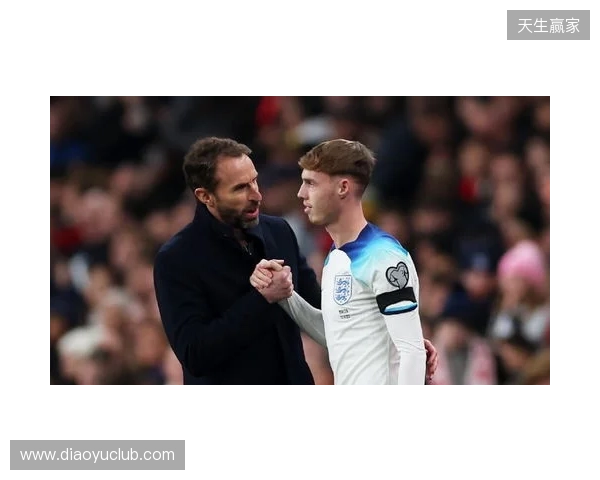 图赫尔谈10号位:一阶段考察帕尔默&福登;二阶段贝林&罗杰斯 图赫尔谈10号位:一阶段考察帕尔默&福登;二阶段贝林&罗杰斯